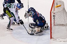 ERC Ingolstadt vs Augsburger Panther, Eishockey, DEL, Deutsche Eishockey Liga, Spieltag 33, 03.01.2016, Foto: st-foto.de / Oliver Strisch