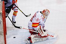 ERC Ingolstadt - Duesseldorfer EG, Eishockey, DEL, Deutsche Eishockey Liga, Spieltag 50, 21.02.2017