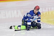 Eishockey, Herren, DEL, Saison 2020-2021, Adler Mannheim - ERC Ingolstadt, 15.02.2021