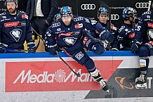Eishockey, Herren, DEL, Saison 2024-2025, Spieltag 49, ERC Ingolstadt - Straubing Tigers, 28.02.2025