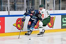 Eishockey, Mens, CHL, Season 2023-2024, ERC Ingolstadt - Färjestad Karlstad, 02.09.2023