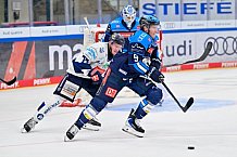 Eishockey, Herren, DEL, Saison 2025-2026, Playoffs Halbfinale, Spiel 1, ERC Ingolstadt - Iserlohn Roosters, 12.09.2025