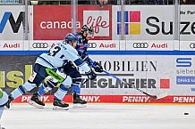 Eishockey, Herren, DEL, Saison 2023-2024, Spieltag 23, ERC Ingolstadt - Straubing Tigers, 01.12.2023