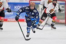 Eishockey, Frauen, DFEL, Saison 2024-2025, ERC Ingolstadt - EC Bergkamener Bären, 12.10.2024