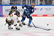 Eishockey, Frauen, DFEL, Vorbereitung, Saison 202-2025, ERC Ingolstadt - St. Pölten, 07.09.2024