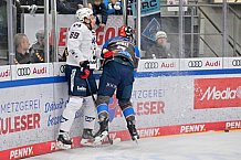 Eishockey, Herren, DEL, Saison 2023-2024, Spieltag 38, ERC Ingolstadt - Adler Mannheim, 14.01.2024