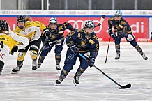 Eishockey, Frauen, DFEL, Saison 2022-2023, ERC Ingolstadt - Mad Dogs Mannheim, 19.11.2022