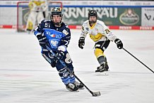 Eishockey, Frauen, DFEL, Saison 2023-2024, ERC Ingolstadt - Mad Dogs Mannheim, 18.02.2024