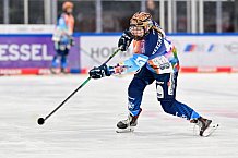Eishockey, Frauen, DFEL, Saison 2024-2025, ERC Ingolstadt - ECDC Memmingen Indians, 16.11.2024