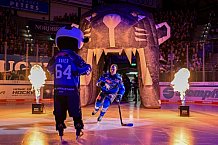 Eishockey, Herren, DEL, Saison 2026-2027, Spieltag 8, ERC Ingolstadt - Löwen Frankfurt, 11.10.2026