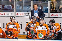 ERC Ingolstadt  - Grizzlys Wolfsburg, Eishockey, DEL, Deutsche Eishockey Liga, Spieltag 42, 31.01.2016