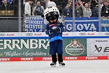 Eishockey, Herren, DEL, Saison 2024-2025, Spieltag 32, ERC Ingolstadt - Adler Mannheim, 30.12.2024