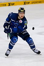 ERC Ingolstadt - Duesseldorfer EG, Eishockey, DEL, Deutsche Eishockey Liga, Spieltag 24, 06.12.2015
