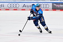 Eishockey, Herren, DEL, Saison 2025-2026, Spiel 43, ERC Ingolstadt - Schwenninger Wild Wings, 25.01.2026
