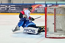 Eishockey, Frauen, DFEL, Saison 2024-2025, ERC Ingolstadt - HK Budapest Roster, 12.01.2025