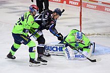 Eishockey, Herren, DEL, Saison 2020-2021, Straubing Tigers - ERC Ingolstadt, 31.01.2021