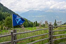 Eishockey, Herren, DEL, Saison 2023-2024, Vinschgau Cup, ERC Ingolstadt – Audi Almerlebnis, 26.08.2023