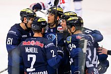 ERC Ingolstadt - Adler Mannheim, Eishockey, DEL, Deutsche Eishockey Liga, Spieltag 47, 24.02.2016