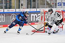Eishockey, Herren, DEL, Saison 2024-2025, Spieltag 36, ERC Ingolstadt - Kölner Haie, 12.01.2025