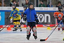 Eishockey, Herren, DEL, Saison 2023-2024, ERC Ingolstadt - Kids on Ice Day, 18.11.2023