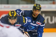 ERC Ingolstadt - Duesseldorfer EG, Eishockey, DEL, Deutsche Eishockey Liga, Spieltag 19, 18.11.2016
