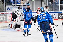Eishockey, Herren, DEL, Saison 2025-2026, Spiel 16, ERC Ingolstadt - Kölner Haie, 31.10.2025