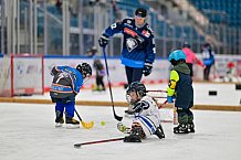 Eishockey, Herren, DEL, Saison 2024-2025, ERC Ingolstadt - Kids On Ice Day, 21.09.2024