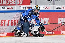 Eishockey, Frauen, DFEL, Saison 2023-2024, ERC Ingolstadt - Amsterdam Tigers, 06.01.2024
