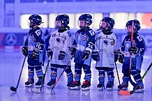 Eishockey, Herren, DEL, Saison 2024-2025, Spieltag 14, ERC Ingolstadt - Löwen Frankfurt, 31.10.2024