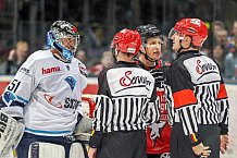 Koelner Haie - ERC Ingolstadt, Eishockey, Herren, Maenner, DEL, Spieltag 13, 23.10.2015