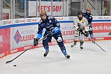 Eishockey, Frauen, DFEL, Saison 2024-2025, ERC Ingolstadt - Mad Dogs Mannheim, 23.11.2024