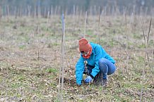 Eishockey, Herren, DEL, Saison 2023-2024, ERC Ingolstadt - Baumpflanzaktion, 02.03.2024