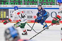 Eishockey, Herren, DEL, Saison 2024-2025, Spieltag 35, ERC Ingolstadt - Augsburger Panther, 10.01.2025