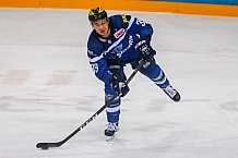 ERC Ingolstadt  - Grizzlys Wolfsburg, Eishockey, DEL, Deutsche Eishockey Liga, Spieltag 37, 13.01.2017