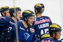 ERC Ingolstadt vs Hamburg Freezers, Eishockey, DEL, Deutsche Eishockey Liga, Spieltag 36, 10.01.2016, Foto: st-foto.de / Oliver STRISCH