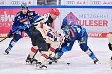 Eishockey, Herren, DEL, Saison 2024-2025, Spieltag 38, ERC Ingolstadt - Nürnberg Ice Tigers, 19.01.2025