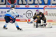Eishockey, Herren, DEL, Saison 2024-2025, Playoffs Viertelfinale, Spiel 1, Nürnberg Ice Tigers - ERC Ingolstadt, 18.03.2025