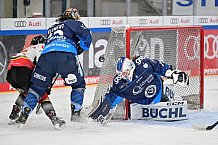 Eishockey, Frauen, DFEL, Saison 2024-2025, ERC Ingolstadt - EC Bergkamener Bären, 12.10.2024
