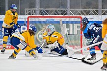 Eishockey, Frauen, DFEL, Saison 2025-2026, Testspiel, ERC Ingolstadt - HC Davos, 14.02.2026