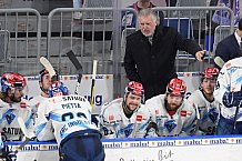 Eishockey, Herren, DEL, Saison 2020-2021, Adler Mannheim - ERC Ingolstadt, 24.01.2021