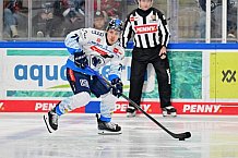 Eishockey, Herren, DEL, Saison 2024-2025, Spieltag 39, Straubing Tigers - ERC Ingolstadt, 24.01.2025