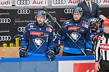 Eishockey, Herren, DEL, Saison 2024-2025, Spieltag 11, ERC Ingolstadt - Pinguins Bremerhaven, 20.10.2024