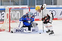 Eishockey, Herren, DEL, Saison 2026-2027, Spieltag 8, ERC Ingolstadt - Löwen Frankfurt, 11.10.2026