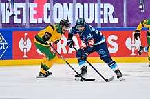 Hockey, Mens, CHL, Season 2025-2026, Regular Season, Game Day 1, ERC Ingolstadt - Ilves Tampere, 28.08.2025