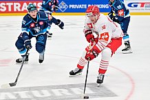 Hockey, Mens, CHL, Season 2025-2026, Regular Season, Game Day 6, ERC Ingolstadt - Odense Bulldogs, 15.10.2025