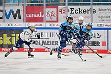 Eishockey, Frauen, DFEL, Saison 2022-2023, ERC Ingolstadt - Eisbären Berlin, 04.02.2023