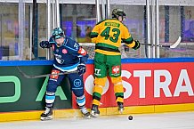 Hockey, Mens, CHL, Season 2025-2026, Regular Season, Game Day 1, ERC Ingolstadt - Ilves Tampere, 28.08.2025