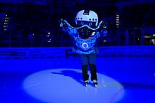 Eishockey, Herren, DEL, Saison 2025-2026, Playoffs Halbfinale, Spiel 3, ERC Ingolstadt - Grizzlys Wolfsburg, 19.09.2025