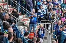 Eishockey, Herren, DEL, Saison 2023-2024, Spieltag 51, ERC Ingolstadt - Kölner Haie, 03.03.2024