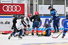 Eishockey, Saison 2025-2026, ERC Ingolstadt - Kids On Ice Day, 29.11.2025